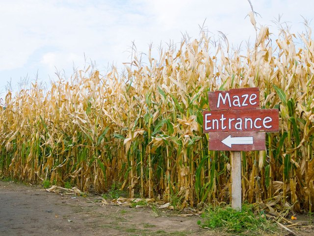 Sign indicating corn maze entrance