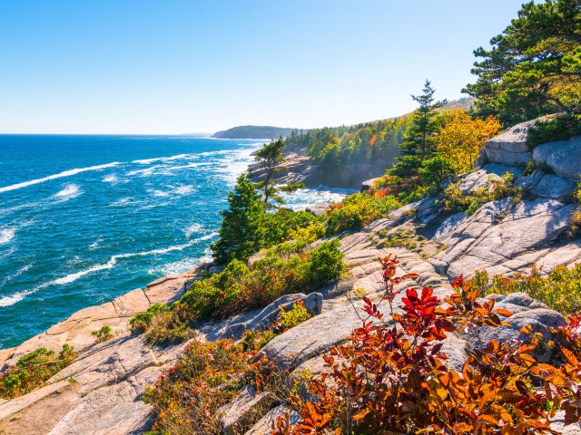 Rocky shoreline of Acadia National Park