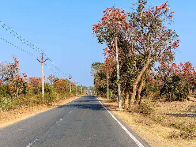 Empty two-lane stretch of India's Golden Quadrilateral National Highway