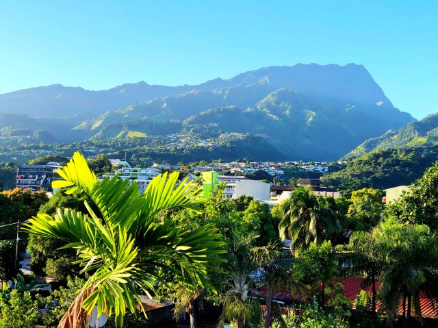 Tropical foliage with city and mountains in background on Tahiti in the Society Islands