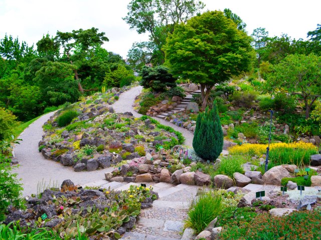 Flower-lined pathways at Copenhagen Botanical Garden