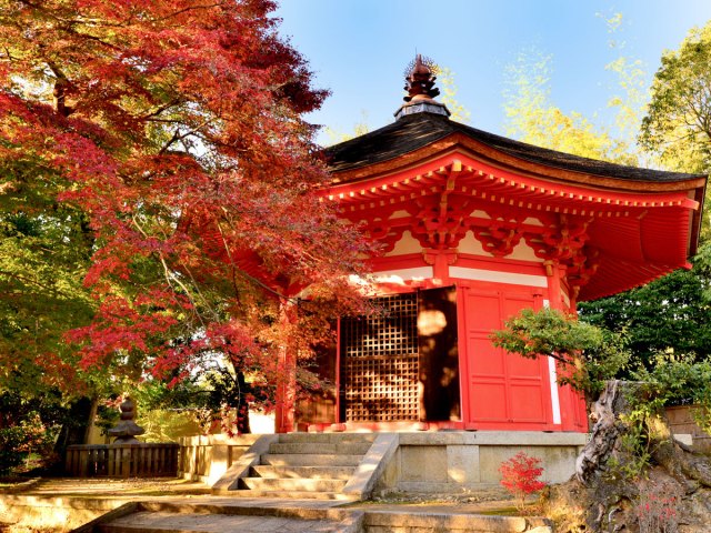 Temple in Kyoto, Japan, framed by fall leaves