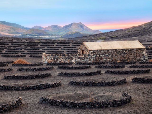 Barren vineyard in the Canary Islands with mountains and sea in the distance