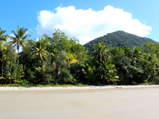 Coastal waters, white sands, and the Daintree Rainforest in Australia
