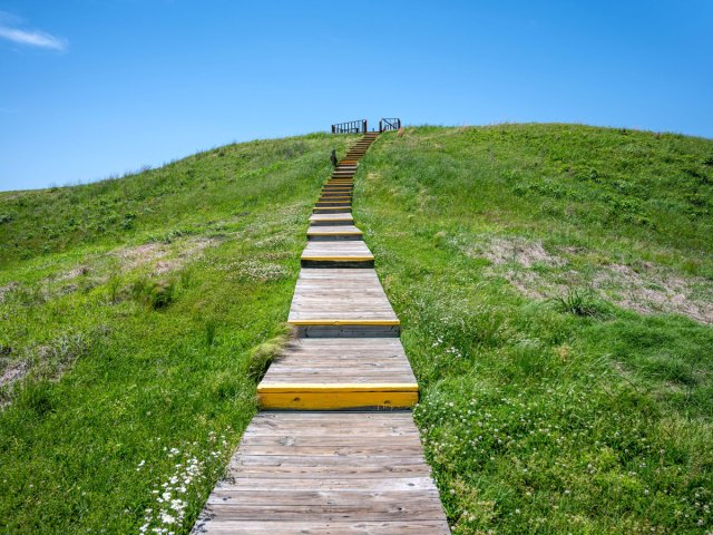 Steps leading to Poverty Point National Monument in Louisiana