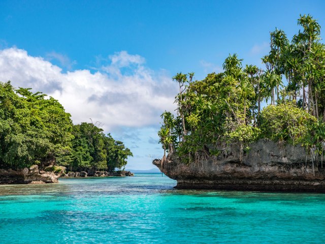 Palm tree-covered island landscape of New Guinea