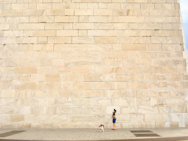 Person walking dog next to Washington Monument in Washington, D.C.