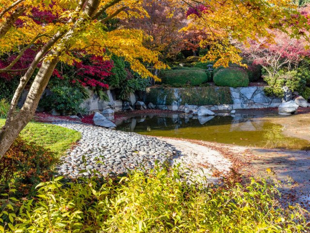 Momiji Garden in Hastings Park in Vancouver, British Columbia