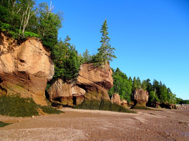 Rocky coastline of Fundy National Park in Canada