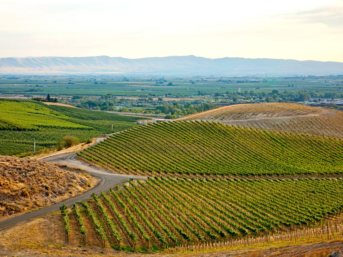 Sip Away and Discover America’s Lesser-Known Wine Regions — Daily Passport