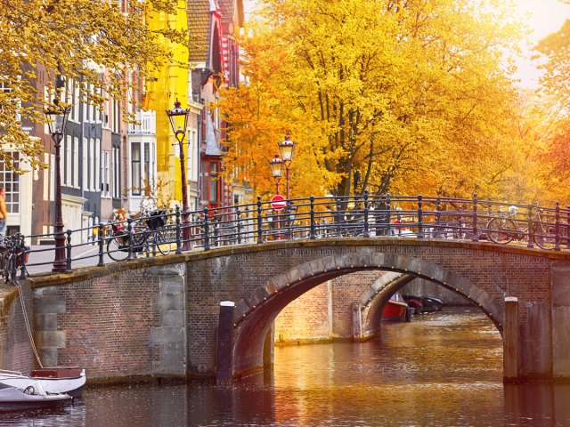 Amsterdam canal framed by vibrant fall foliage