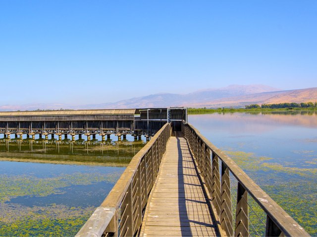 Walkway over lake in Israel