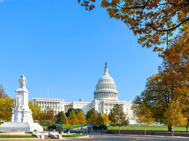 Image of the Capitol Building and statue in Washington, D.C.