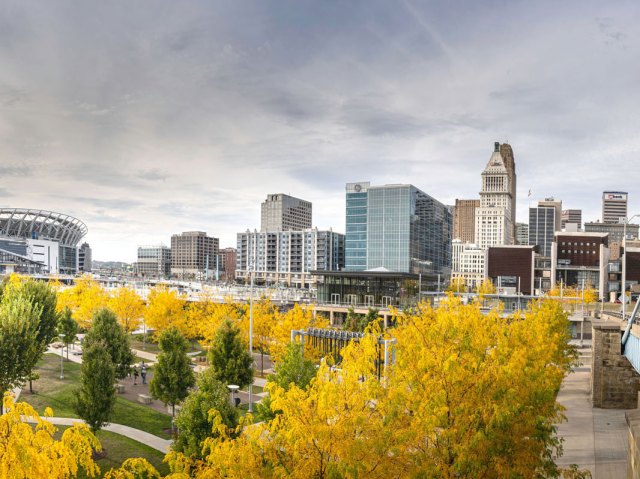 Autumn-tinged leaves framing downtown Cincinnati, Ohio, skyline