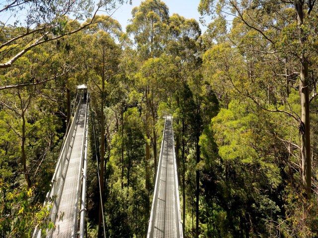 Suspension bridge in Australian national park