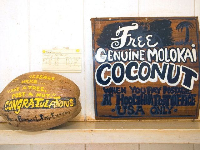 Coconut at Hoolehua Post Office in Hawaii