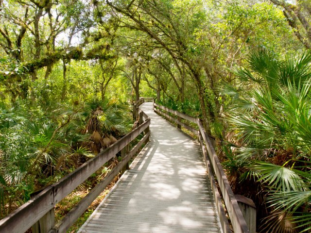 Wooden pathway through wildlife refuge in Melbourne, Florida