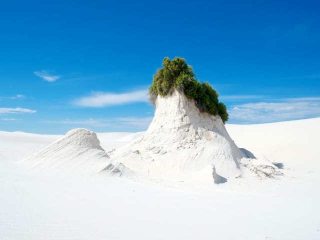 Brilliant white sand dunes topped with vegetation in White Sands National Park in New Mexico