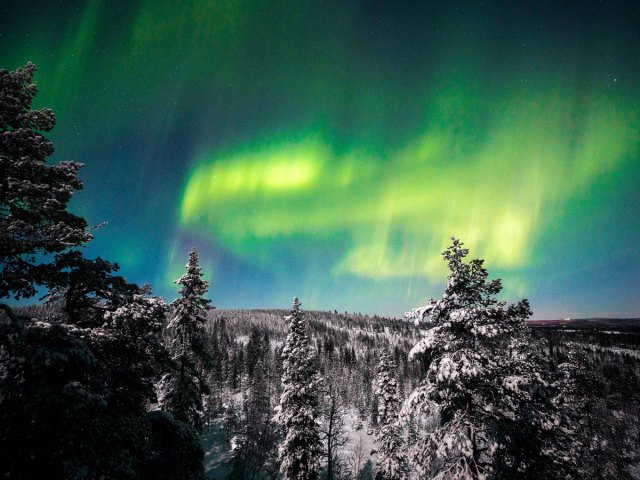 Greenish hue of the northern lights above snow-covered trees in Rovaniemi, Finland