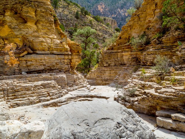 Striated rock in Guadalupe Mountains National Park in Texas