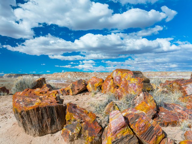 Landscape of Petrified Forest National Park in Arizona