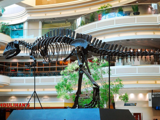 Dinosaur skeleton inside terminal at Hartsfield-Jackson Atlanta Airport