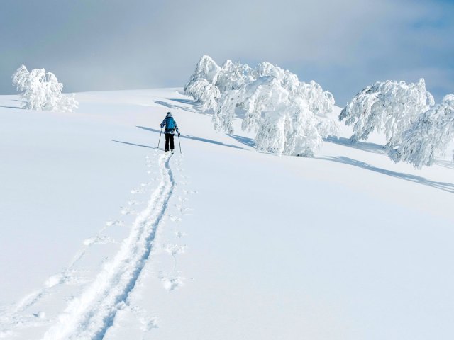 Person on snowshoes through snow-coveredy landscape of Niseko, Japan