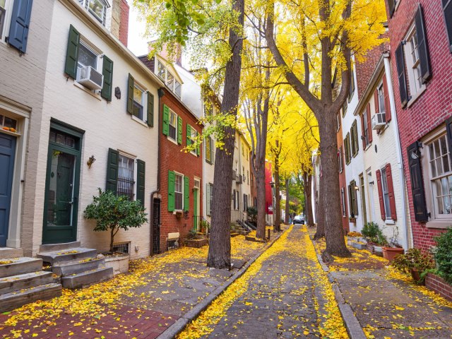 Narrow cobblestone street lined with row homes in Philadelphia