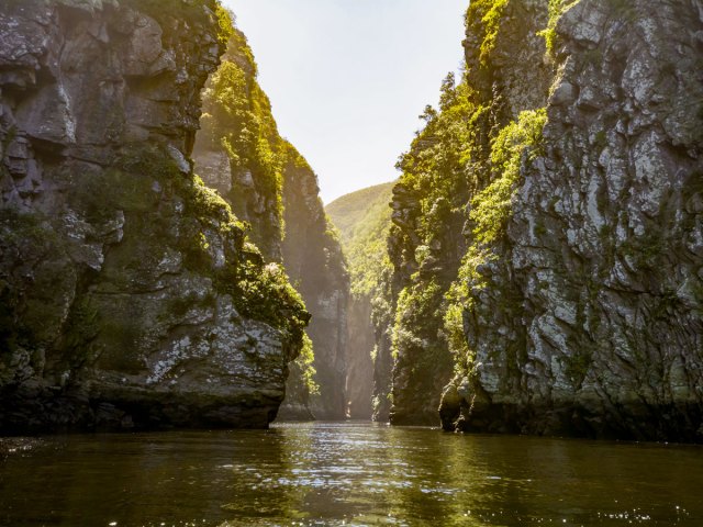 River through steep, narrow gorge in South Africa's Tsitsikamma National Park