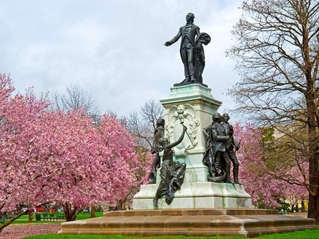 Statue surrounded by cherry blossoms in Washington, D.C.