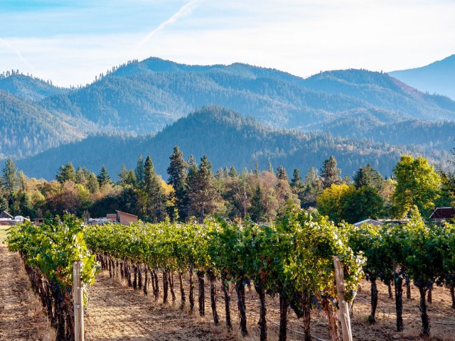 Vineyards and mountains in Ashland, Oregon