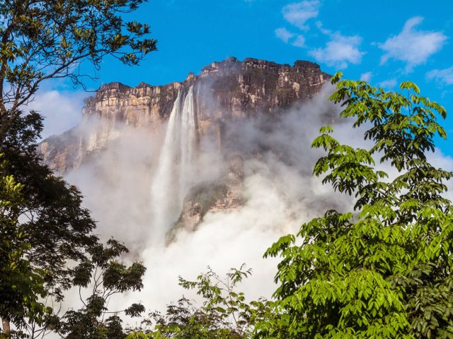 View of Venezuela's roaring Angel Falls between trees in the distance