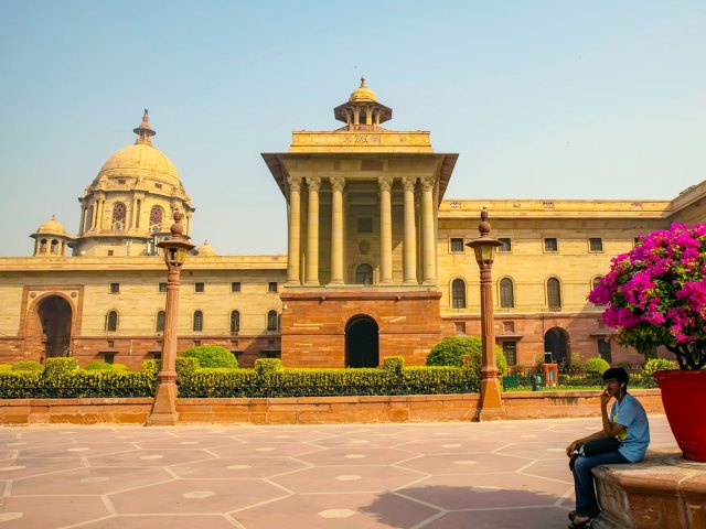 Person sitting under flowered plant in plaza in Delhi, India