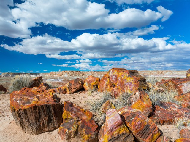 Landscape of Petrified Forest National Park, Arizona