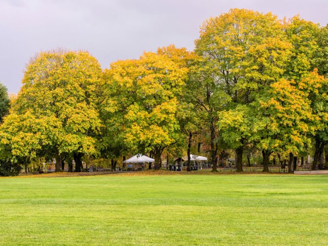 Park with autumn leaves in Fairview, Oregon