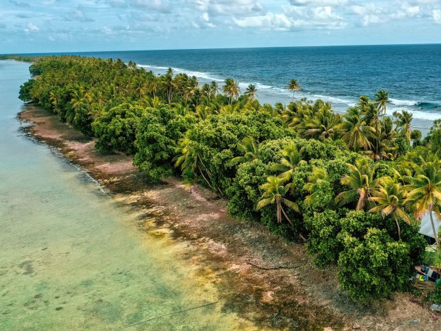 Aerial view of palm trees on narrow island in Tuvalu