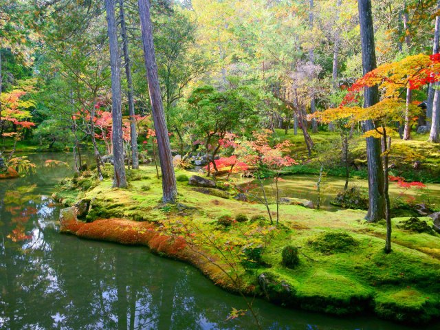 Serene gardens and pond at Kokedera Temple in Kyoto, Japan