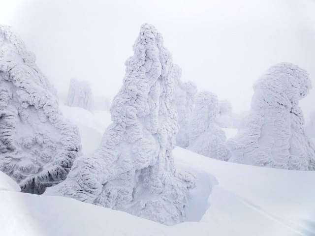 Frozen trees in Aomori City, Japan