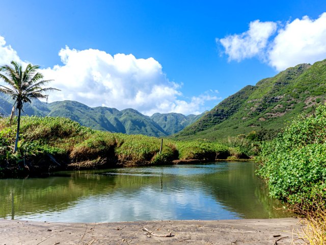 Pond surrounded by lush foliage on the Hawaiian island of Molokai