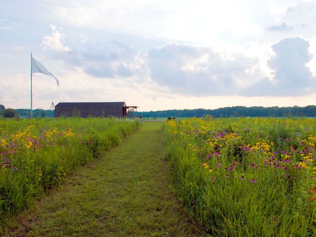 White flag flying over flower-filled  Huffman Prairie Flying Field in Dayton, Ohio