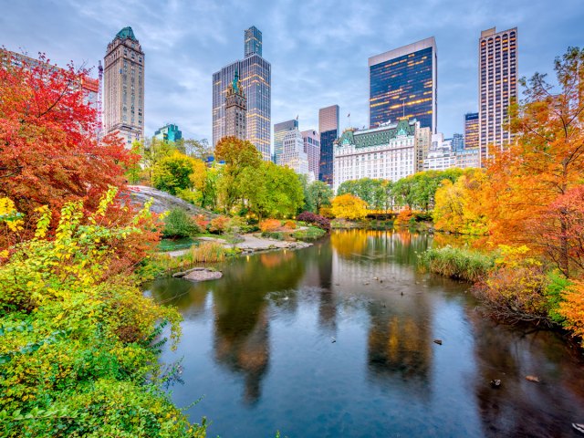 Pond lined by autumn-tinged trees and skyscrapers in New York City's Central Park