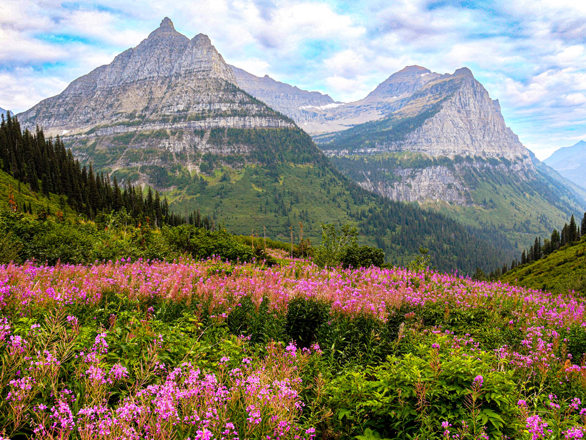 The Single Best Thing to See in the 10 Most Popular U.S. National Parks ...