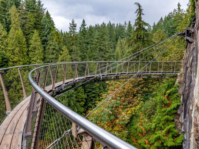 Suspension bridge over forest of British Columbia in Capilano Suspension Bridge Park