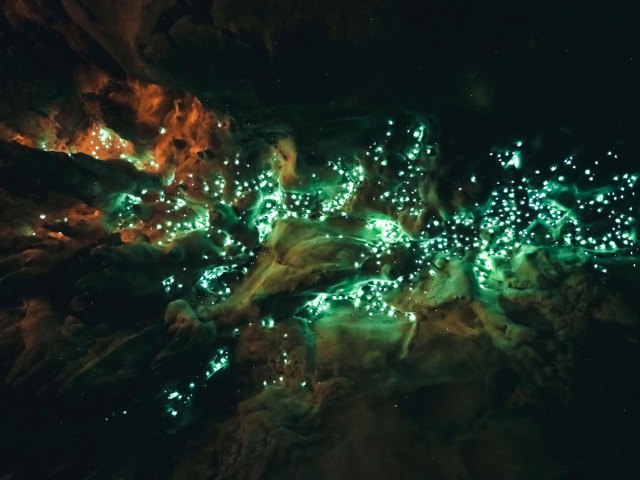 Inside of Waitomo Caves in New Zealand lit by glowworms