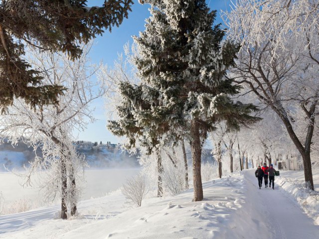 Hikers on snow-covered, tree-lined path in Saskatoon, Saskatchewan