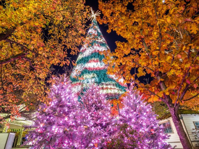 Holiday tree in Branson, Missouri
