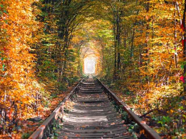 Tunnel of Love in Ukraine surrounded by fall foliage