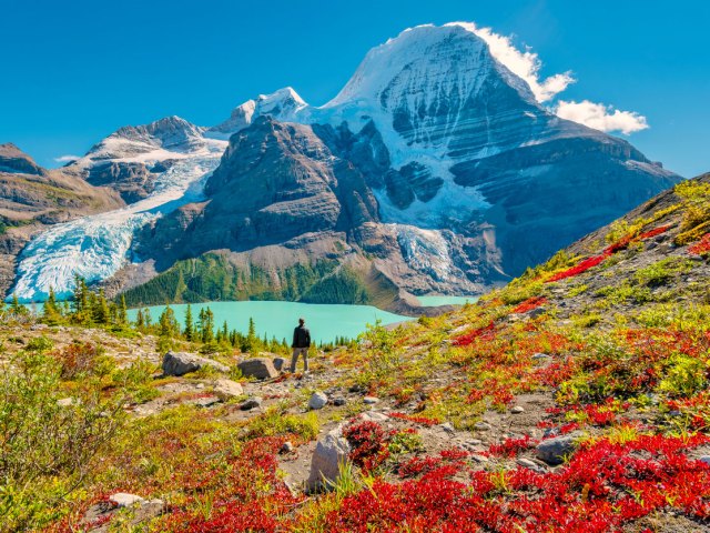 Hiker standing on flower-covered hillside admiring glacial lake and snow-covered Mount Robson in British Columbia