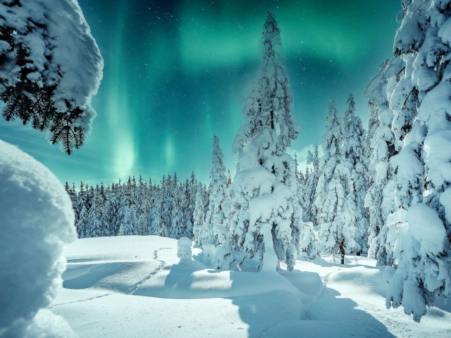 Northern lights seen over snow-covered forest landscape in Lapland, Finland