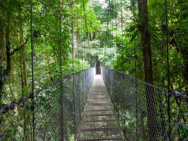 Suspension bridge through rainforest in Místico Arenal Hanging Bridges Park in Costa Rica